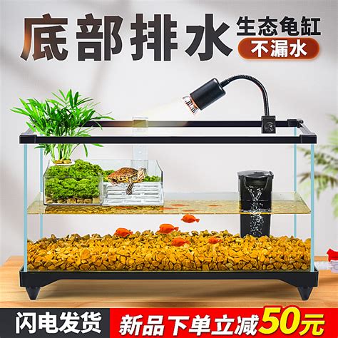 魚缸養烏龜|烏龜飼養：4個必備工具